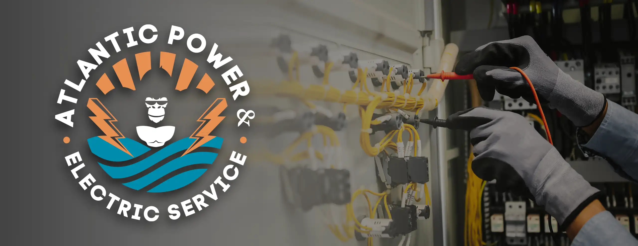 A.P.E.S. electrician logo and brand identity designed by Salty Pixel Creative